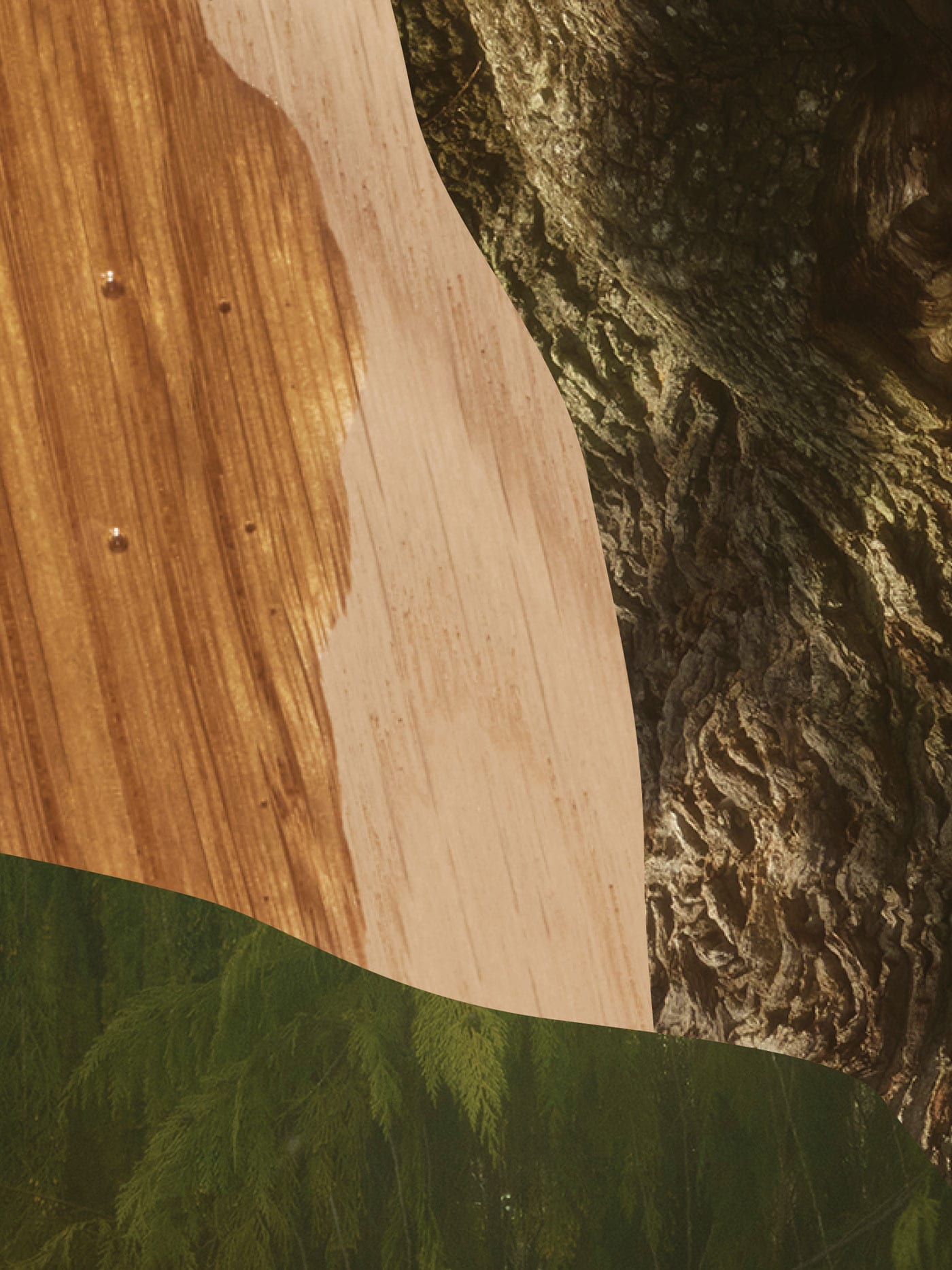 oiled oak and nature images in a collage