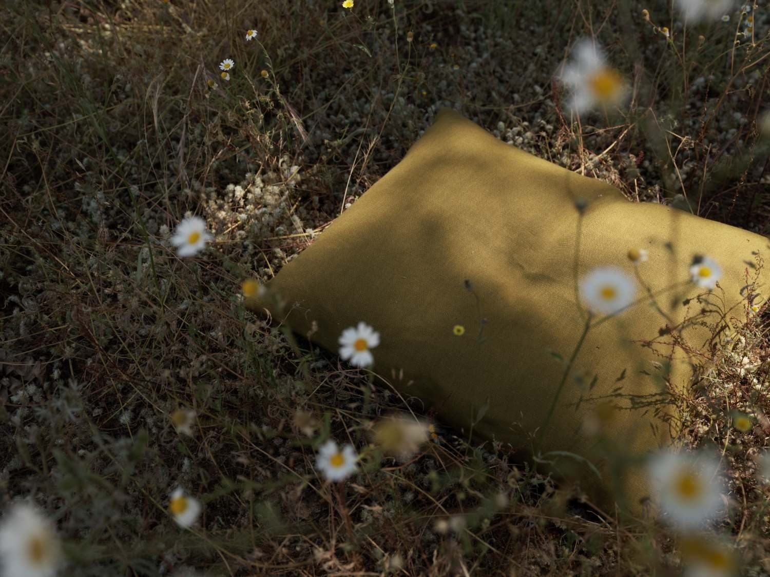 a pillow in a summer meadow